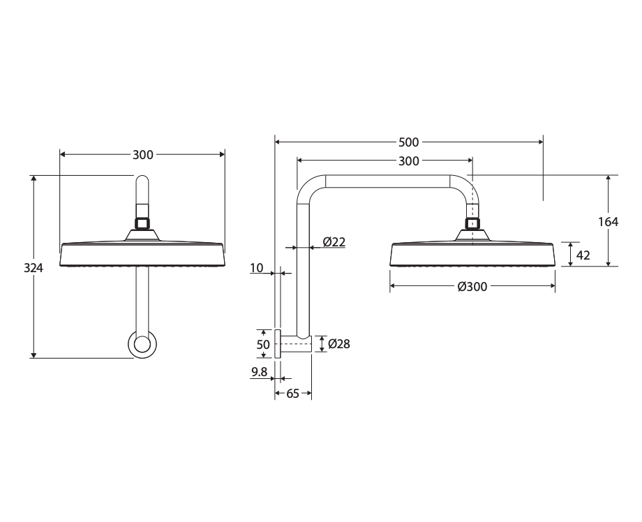 Fienza 411140BN-A Kuro Gooseneck Shower Arm Set, Round Head, Brushed Nickel