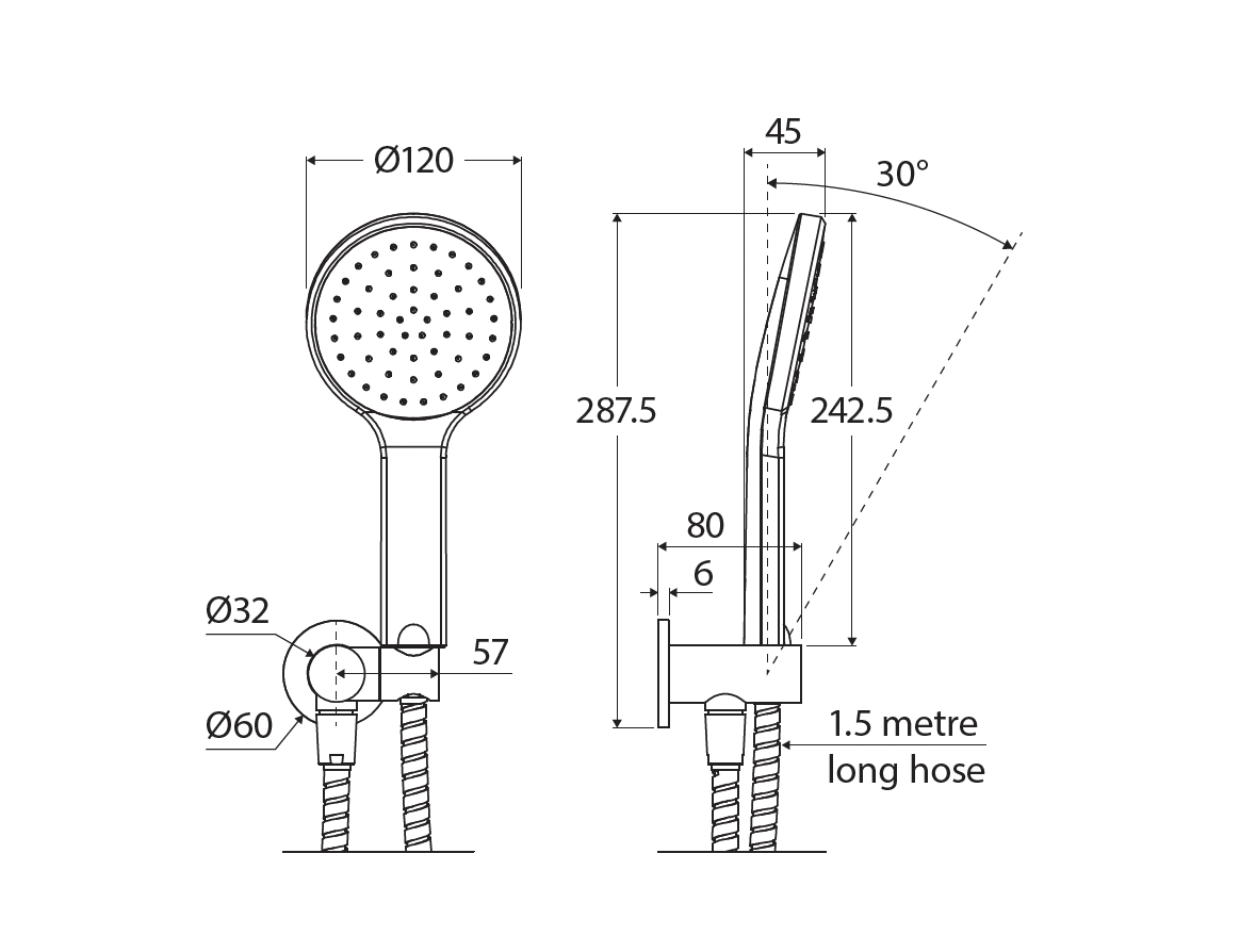Fienza 433201MW Kaya Hand Shower, Matte White