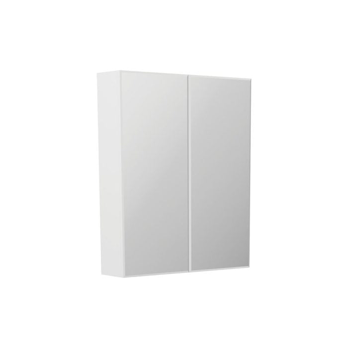 Fienza B600 Bevel Edge 600 Mirror Cabinet