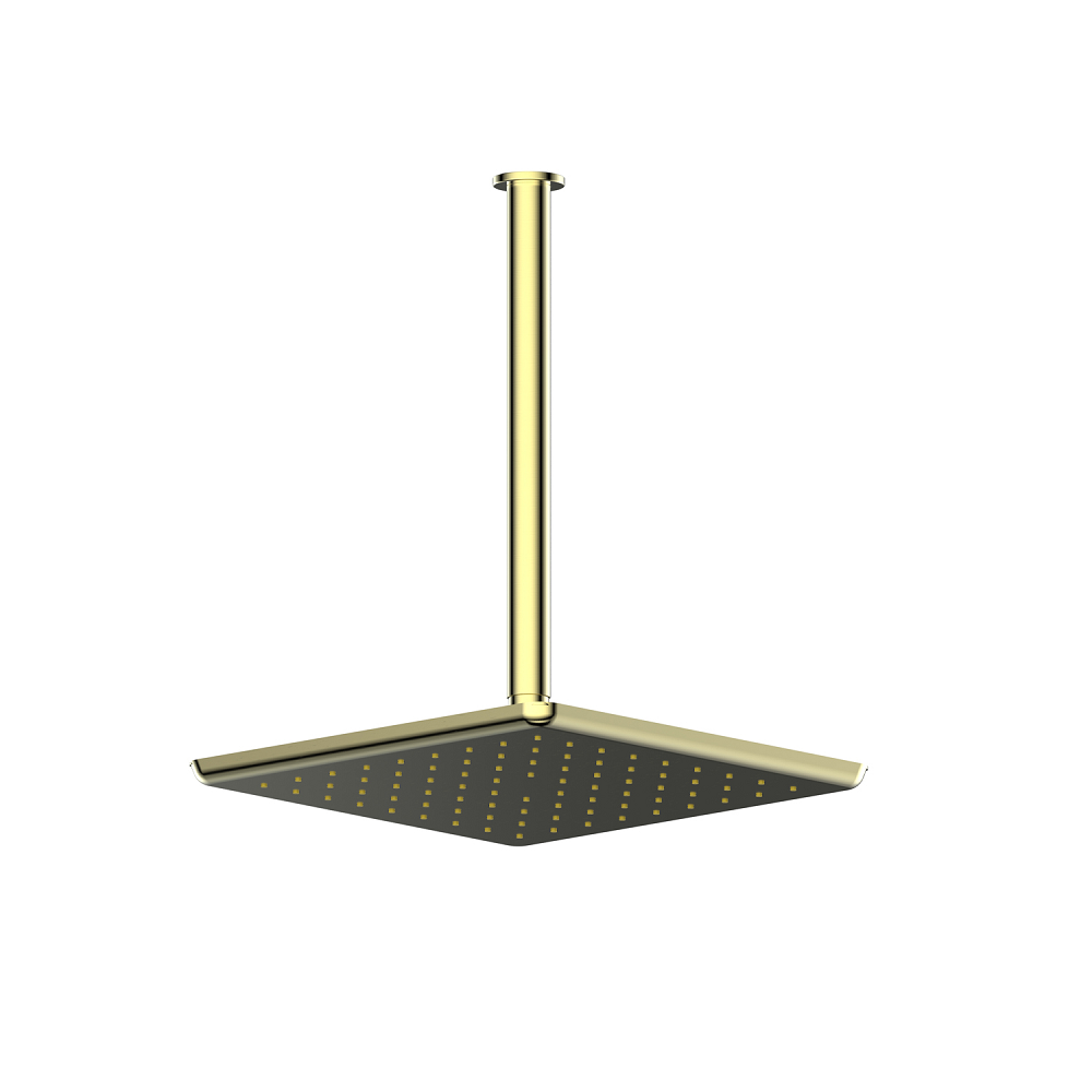 Greens Skyla Ceiling Shower, PVD Brushed Brass, 186002BB