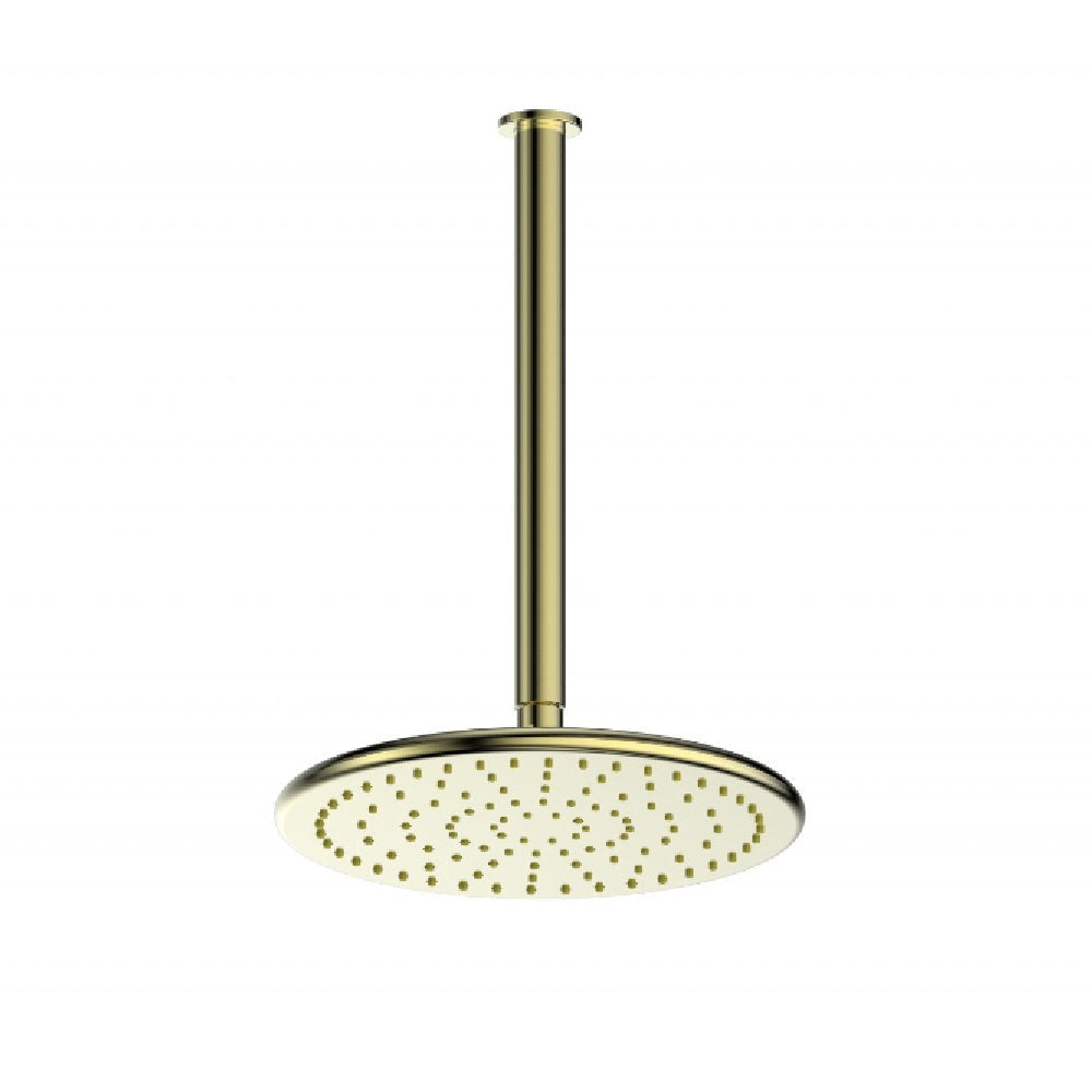 Greens Rocco Ceiling Shower, PVD Brushed Brass 1850029BB