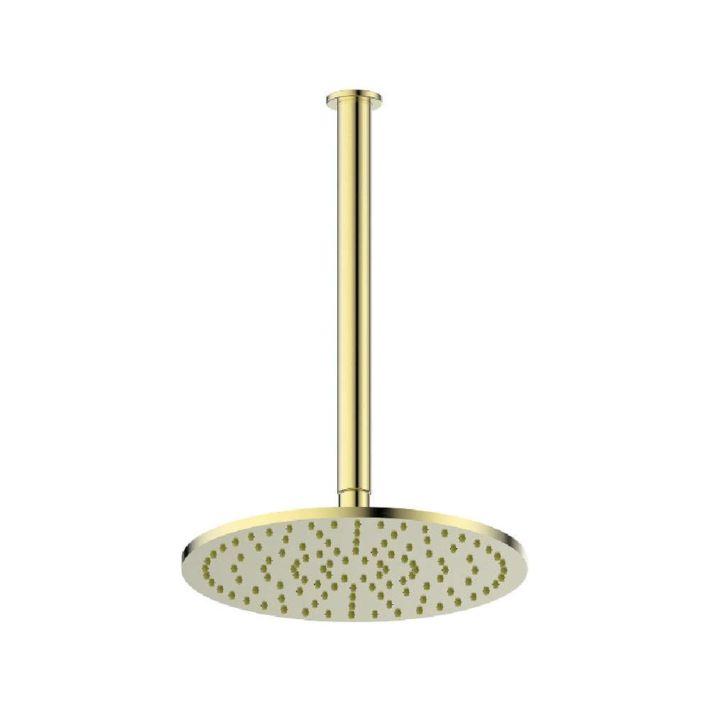 Greens Lavish Brass Ceiling Shower, PVD Brushed Brass, 239101BB