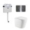 Fienza Isabella Toilet Package, Wall Faced Toilet Slim Seat, R&T Inwall Cistern, Round Stainless Steel Buttons - Special Order