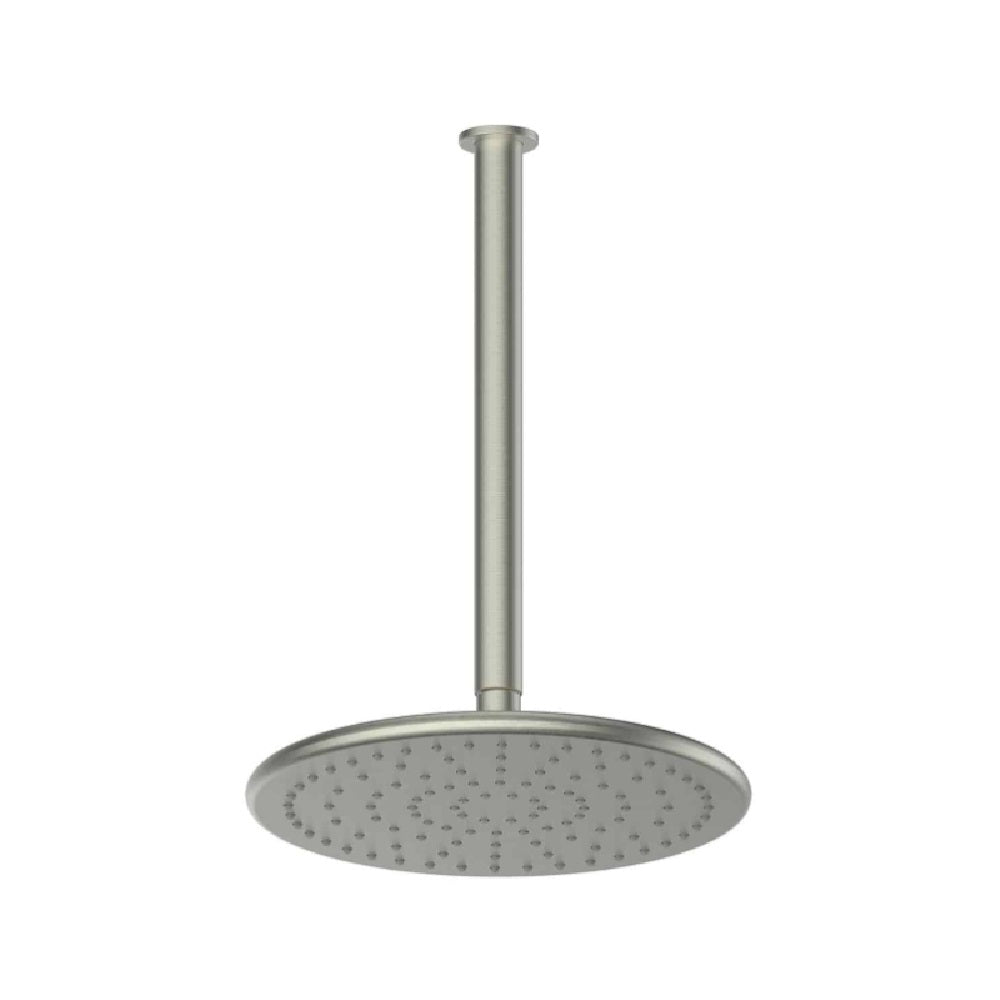 Greens Lavish Brass Ceiling Shower, PVD Brushed Nickel, 239101BN