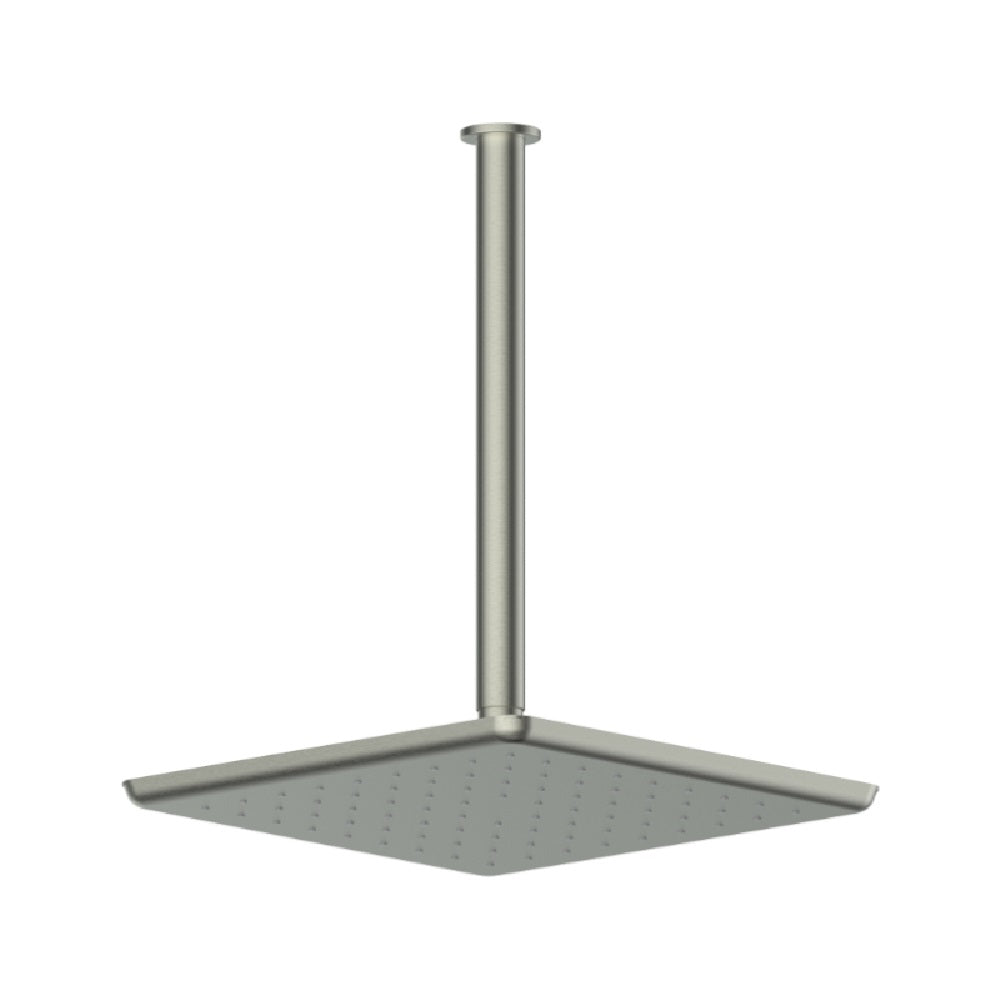 Greens Skyla Ceiling Shower, PVD Brushed Nickel, 186002BN