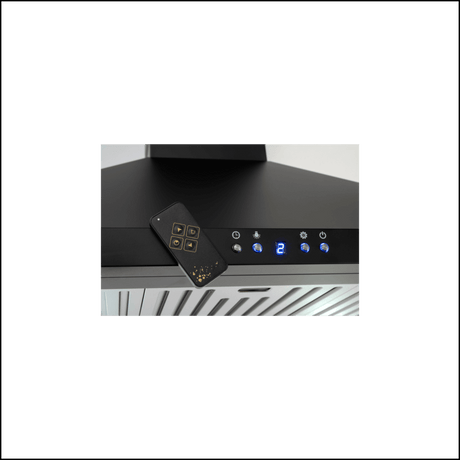 Euro Appliances Ebb900Bk3R 90Cm Black Finish Alfresco Canopy With Remote - 1000M3/Hr Special Order