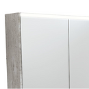 Fienza PSC1200X-LED 1200mm Mirror LED Cabinet, Industrial - Special Order