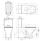 Fienza K013WP Delta Care Back to Wall Toilet Suite, P Trap, White Seat, Raised Buttons - Special Order