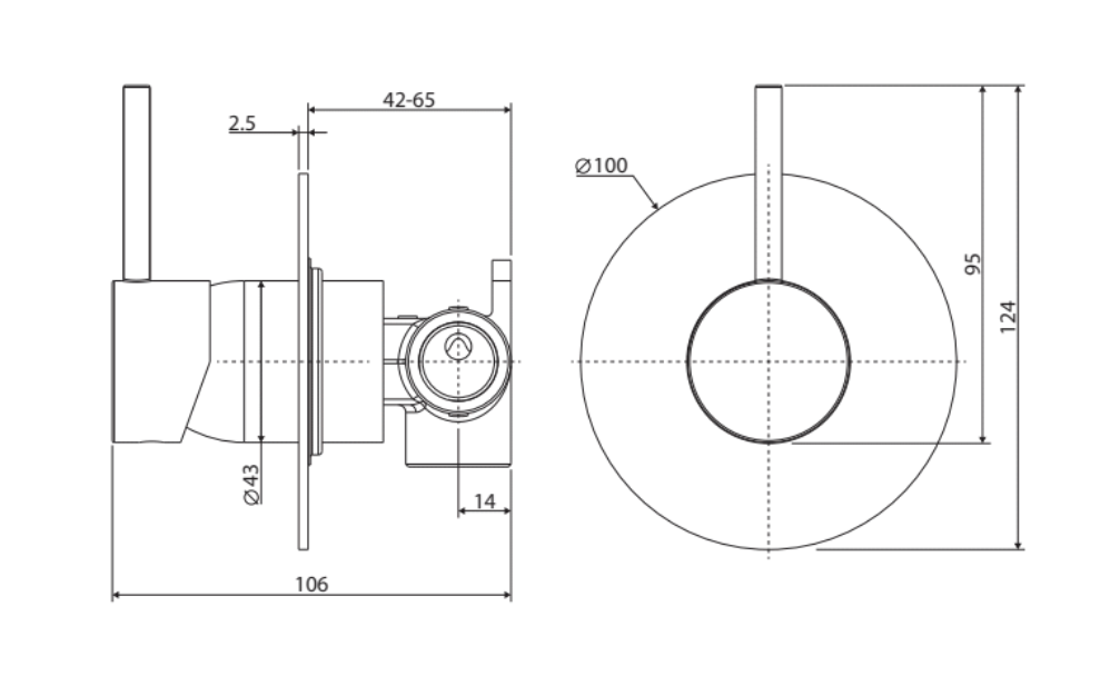 Fienza Kaya Up Large Round Plate Wall Mixer - Gunmetal Grey
