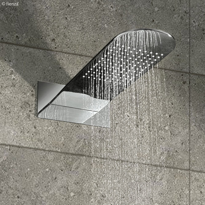 Fienza Empire Shower Head Polished S/S