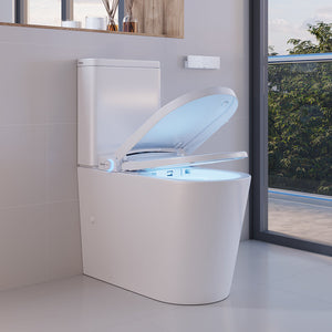 Smart Toilets