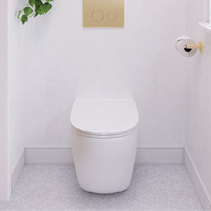 In Wall Toilets