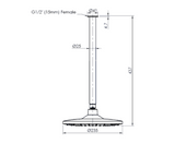 Greens Corban Ceiling Shower, PVD Brushed Nickel, 193002BN