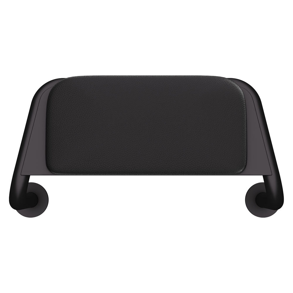 Fienza 200990B Care Back Rest with Cushion Plate, Matte Black