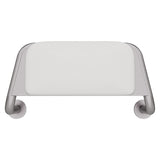 Fienza 200990 Care Back Rest with Cushion Plate, Stainless Steel
