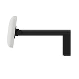 Fienza 200992B Care Back Rest, Matte Black