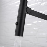 Fienza Kaya 228109B Matte Black Pull Down Mixer Tap Kitchen Taps
