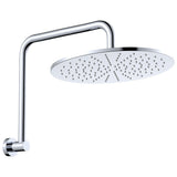 Fienza 411109-A Empire Slim Gooseneck Shower Arm Set, Chrome
