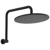 Fienza 411109B-A Empire Slim Gooseneck Shower Arm Set, Matte Black