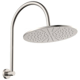 Fienza 411109BN-D Empire Slim Curved Shower Arm Set, Brushed Nickel