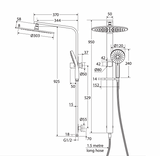 Fienza 455124BN Empire Slim Deluxe Twin Shower, Brushed Nickel