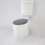 Caroma 982932AG Care 610 Cleanflush Connector S Trap Suite with Caravelle Double Flap Seat Anthracite Grey - Special Order