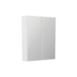 Fienza B600 Bevel Edge 600 Mirror Cabinet