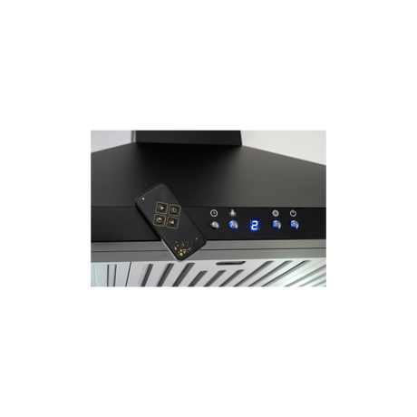 Euro Appliances Ebb900Bk3R 90Cm Black Finish Alfresco Canopy With Remote - 1000M3/Hr Special Order