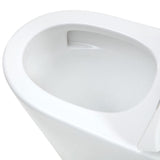 Fienza K015A-2 Isabella Junior Tornado Back to Wall Rimless Toilet, with Anti-Vandal Kit, S-Trap, 90-160, Gloss White