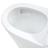 Fienza K015P Isabella Junior Tornado Back to Wall Rimless Toilet, P Trap, Gloss White