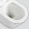 Fienza K021B Kaya S Trap 160-230mm Back to Wall Toilet, White - Special Order