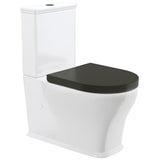 Fienza K031GBB Lillian Tornado Back To Wall Toilet Suite, S Trap, 160-230mm, R&T Cistern, Gloss White with Gloss Black Seat