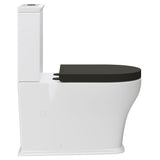 Fienza K031GBB Lillian Tornado Back To Wall Toilet Suite, S Trap, 160-230mm, R&T Cistern, Gloss White with Gloss Black Seat