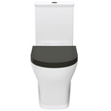 Fienza K031GBA Lillian Tornado Back To Wall Toilet Suite, S Trap, 90-160mm, R&T Cistern, Gloss White with Gloss Black Seat