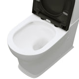 Fienza K031GBB Lillian Tornado Back To Wall Toilet Suite, S Trap, 160-230mm, R&T Cistern, Gloss White with Gloss Black Seat