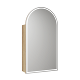 Aulic Canterbury Arch LED Carita Shaving Cabinet 500 x 900mm LSCCAN-500-CR Mirrors & Cabinets