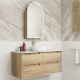 Aulic Canterbury Arch LED Carita Shaving Cabinet 500 x 900mm LSCCAN-500-CR Mirrors & Cabinets