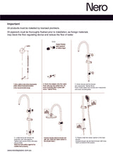 Nero Opal Shower Set Brushed Nickel NR251905eBN