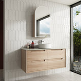 Aulic 1200mm Ainsley Wall Hung Vanity CAWH54-750-ST66 Cabinet Only Vanity Units