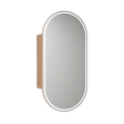 Aulic Beau Monde Oblong LED Mia Shaving Cabinet 450 x 900mm LSCBM-450-MIA Mirrors & Cabinets