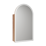 Aulic Canterbury Arch LED Mia Shaving Cabinet 500 x 900mm LSCCAN-500-MIA Mia Mirrors & Cabinets