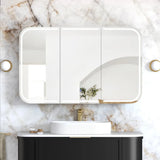 Otti LED-SSQ1275B-VP LED Newport 1200mm Black Oak Shaving Cabinet