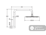 Fienza 411125UB-A Kaya Gooseneck Shower Arm Set Urban Brass - Wall Arm Shower