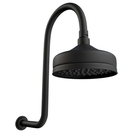 Fienza 411138B-A Lillian Wall Arm Shower Set Matte Black - Wall Arm Showers