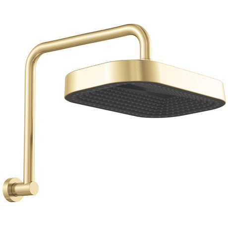Fienza 411139UB-A Kuro Gooseneck Shower Arm Set Soft Square Head Urban Brass