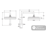 Fienza 411140-A Kuro Gooseneck Shower Arm Set Round Head Chrome