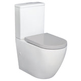 Fienza Alix Back-to-Wall Suite - Grey Seat - Back to Wall Suites