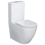 Fienza Alix Back-to-Wall Suite - Slim Seat - Back to Wall Suites