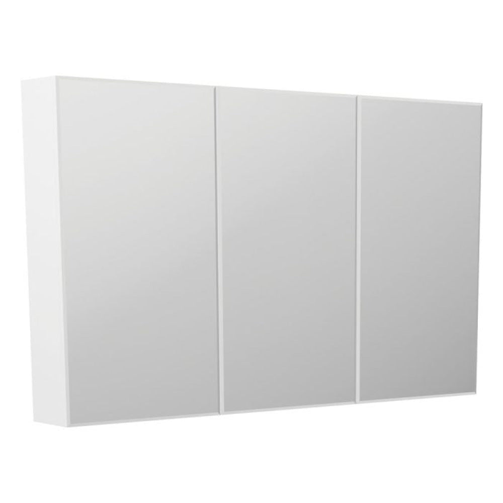 Fienza B1200 Bevel Edge 1200 Mirror Cabinet - Mirrors & Cabinets