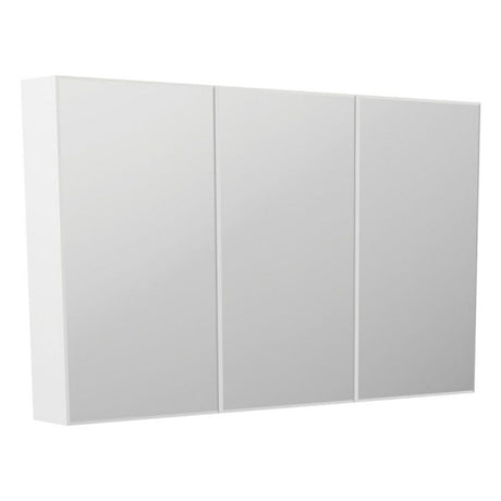 Fienza B1200 Bevel Edge 1200 Mirror Cabinet - Mirrors & Cabinets